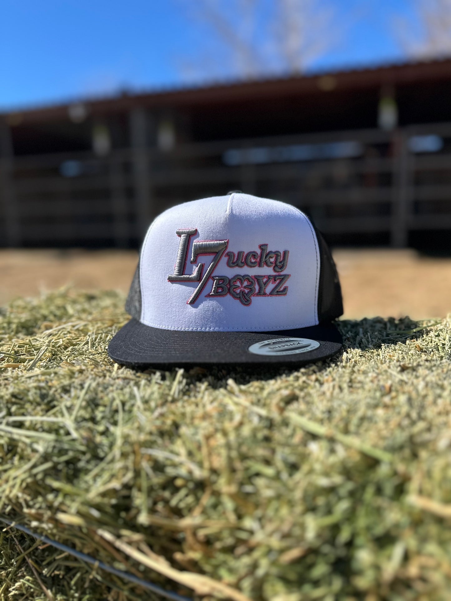 Lucky 7 boyz cap Grey letter pink outline.