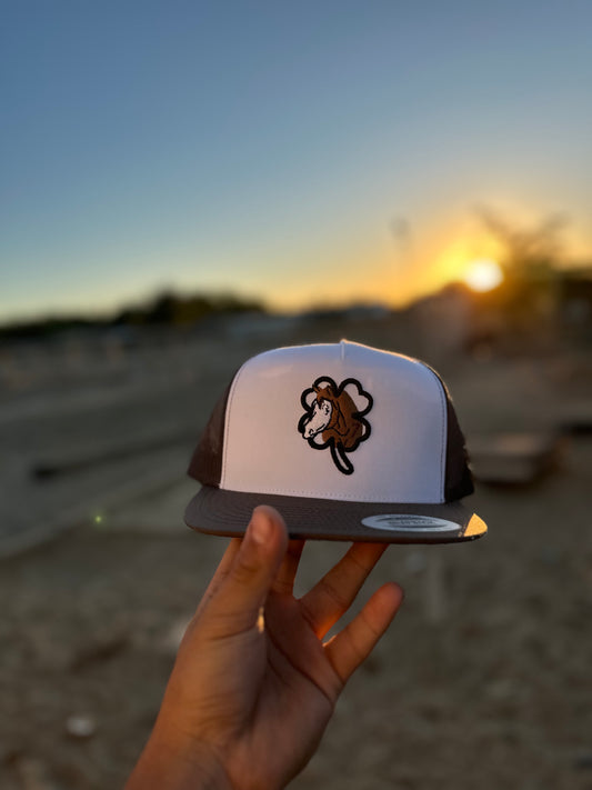 Brown Lucky 7 Hat With Black Clover