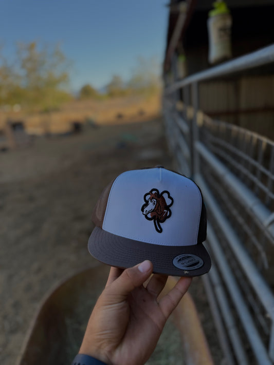 Brown Lucky 7 Hat With Black Clover